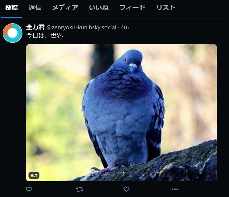 post-image-example